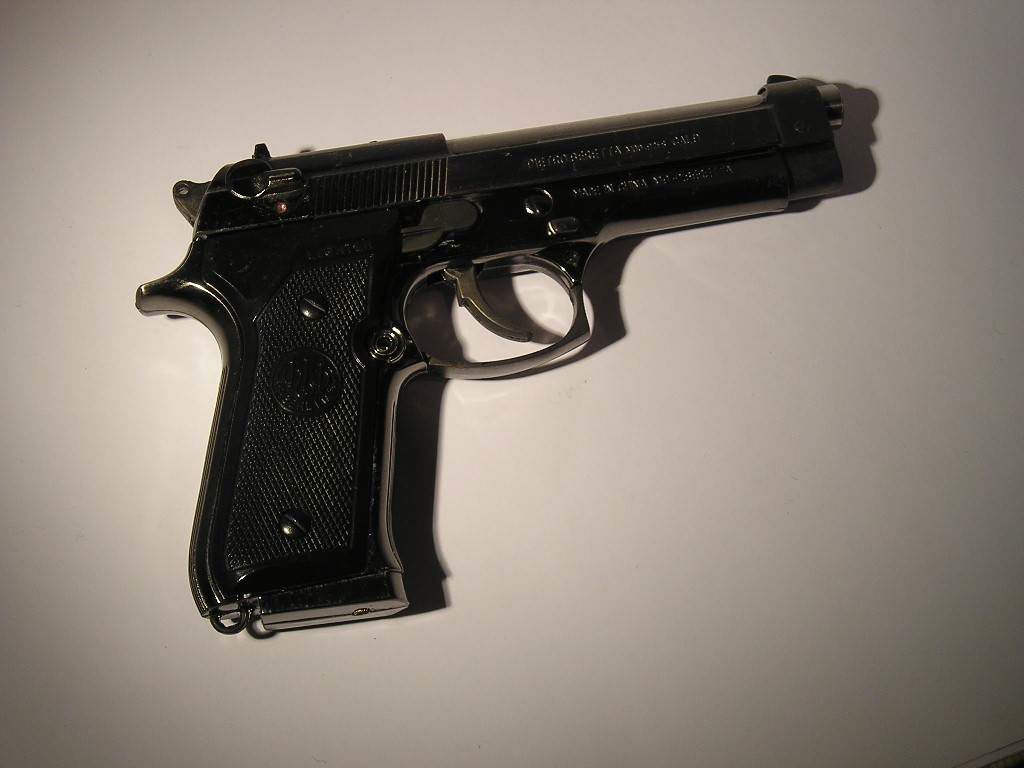 Gun